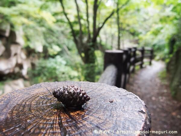 秋保「磊々峡」大きなハート岩がある恋人の聖地。のんびり森林浴と紅葉を楽しむ