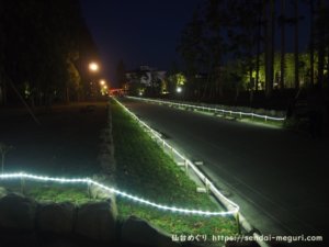 松島の瑞巌寺　紅葉ライトアップ2019