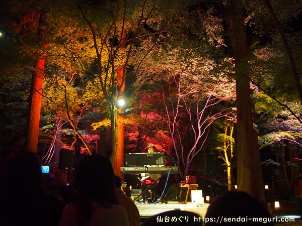 松島の円通院　紅葉ライトアップ2019