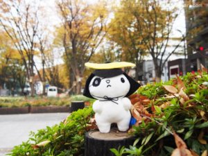 仙台の街中で紅葉散策　ねこまさむね