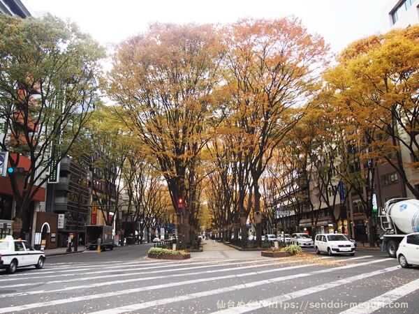 仙台の街中で紅葉散策　定禅寺通り