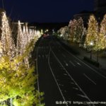 【2019】宮城県の冬のイルミネーション＆ライトアップ情報まとめ