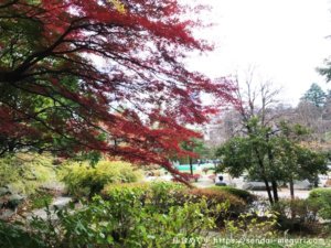 仙台の街中で紅葉散策