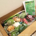 仙台初の「ドライブスルー八百屋」で野菜の詰め合わせを購入してみた感想