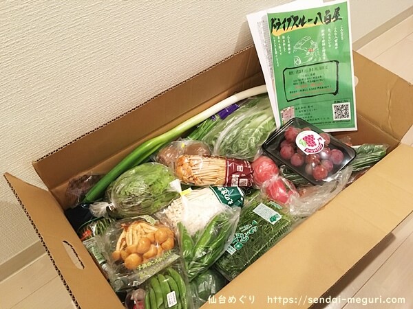 仙台初の「ドライブスルー八百屋」で野菜の詰め合わせを購入してみた感想