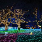 【2020冬】宮城仙台ライトアップ・イルミネーション人気イベント情報まとめ